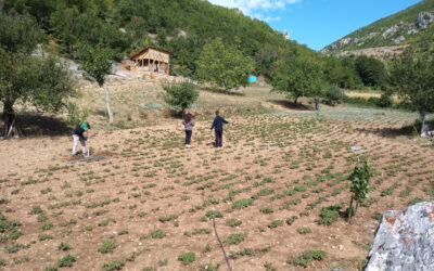 Installation on test field in Sutaj, Albania